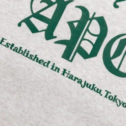 Pullover Hoodie - Gray -Feature store A Bathing Ape A Bathing Ape Pullover Hoodie Gray 001PPJ301011MGRA 03 01 23 Feature VR 11