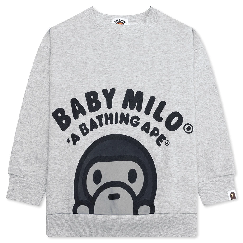 Kid's Baby Milo Relaxed Fit Crewneck Sweatshirt - Gray 3 Kid's Baby Milo Relaxed Fit Crewneck Sweatshirt - Gray