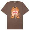 Tiger Tee - Brown 2 Tiger Tee - Brown -Feature store Tiger Tee M Brown 001TEJ801005MBRW 12 05 23 Feature VR